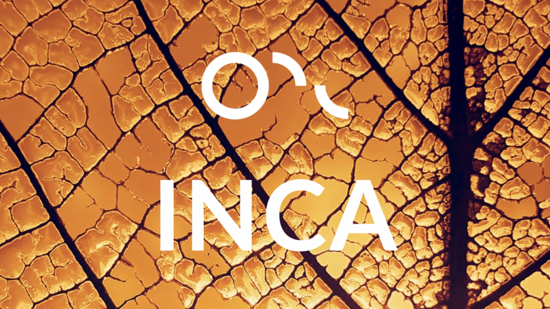 Inca Line